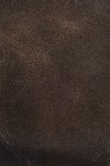 Frye Logan Billfold - Slate