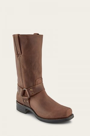 Frye Harness 12R Mens - Gaucho