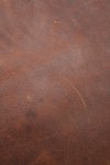 Frye Logan Backpack - Cognac