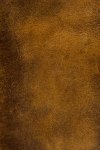 Frye Melissa Wristlet - Cognac