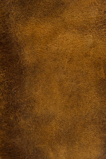 Frye Melissa Wristlet - Cognac - Click Image to Close