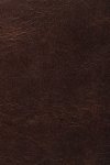 Frye Logan Top Handle - Dark Brown