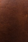 Frye Logan Money Clip Card Case - Cognac