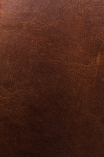 Frye Logan Money Clip Card Case - Cognac - Click Image to Close