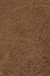 Frye Melissa Satchel - Beige