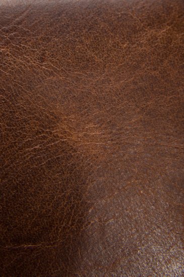 Frye Logan Billfold - Cognac - Click Image to Close