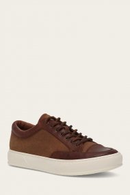 Frye Hoyt Low Lace - Brown