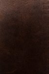 Frye Logan Money Clip Card Case - Dark Brown