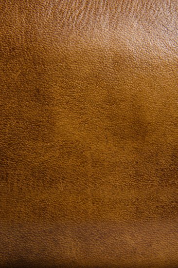 Frye Melissa Zip Around Wallet - Beige - Click Image to Close